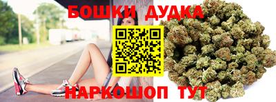 сатива Новодвинск