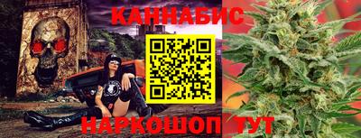 сатива Новодвинск