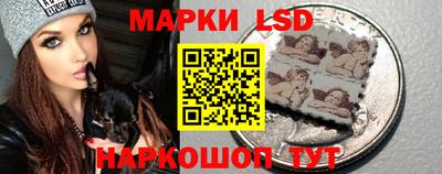 сатива Новодвинск