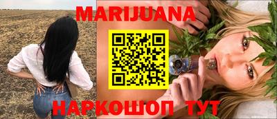 альфа пвп Новокубанск