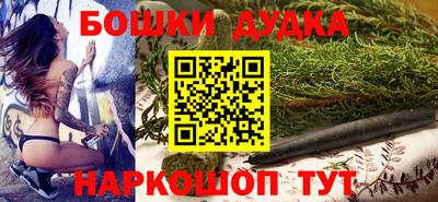 сатива Новодвинск