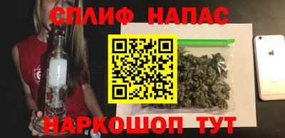 сатива Новодвинск
