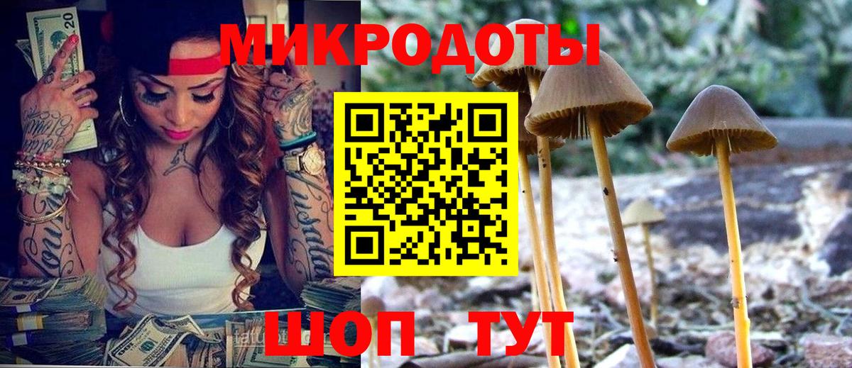 Псилоцибиновые грибы MAGIC MUSHROOMS Хабаровск