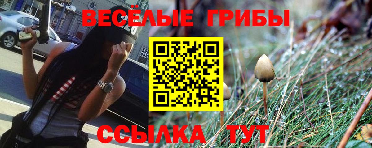 Псилоцибиновые грибы мухоморы  Вход с VPN  Хабаровск 